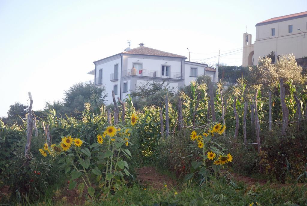 Villa Cirimarco Bonifati Exterior foto